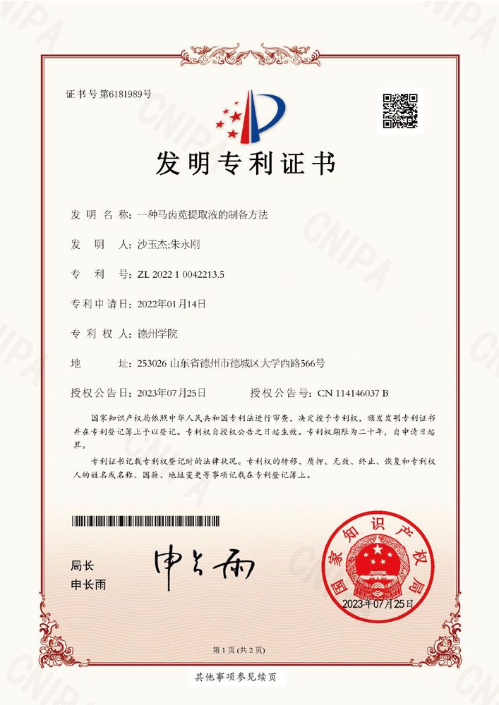 技术优势 — 图片